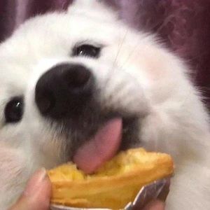 Meet your Posher, Lov